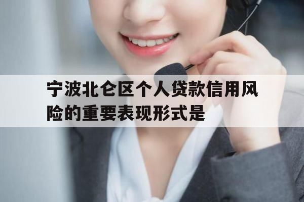 宁波北仑区个人贷款信用风险的重要表现形式是