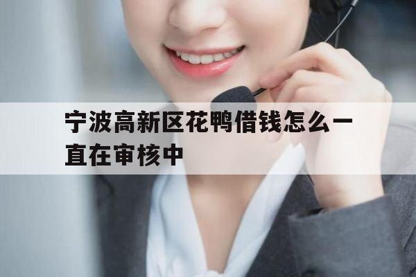 宁波高新区花鸭借钱怎么一直在审核中